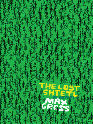 cover image of The Lost Shtetl